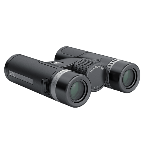 GPO PASSION SD 10x34
