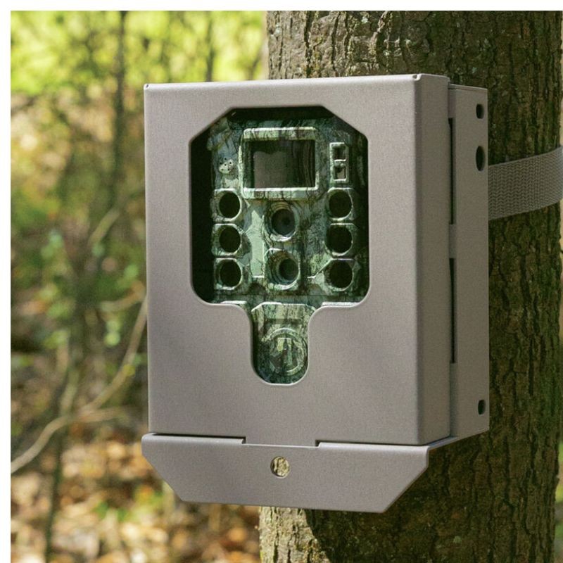 bushnell cage anti-vol piege photo